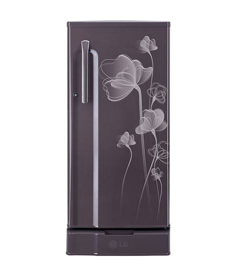 Picture of LG REFRIGERATOR D205KGHN