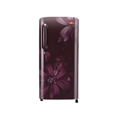 Picture of LG REFRIGERATOR B221ASAN