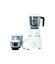 Picture of HAVELLS VOTEX 500W MIXER