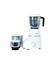 Picture of PIGION 750 W 3JAR ORB MIXER